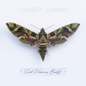 Cowboy Junkies/Such Ferocious Beauty [LP]
