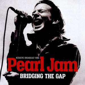 Pearl Jam/Bridging The Gap [LP]