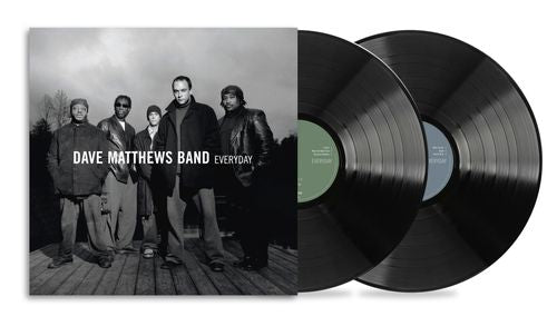Dave Matthews Band/Everyday [LP]