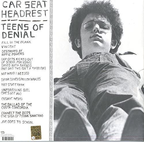 Car Seat Headrest/Teens Of Denial [LP]
