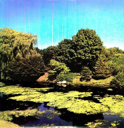 Shellac/Terraform [LP]
