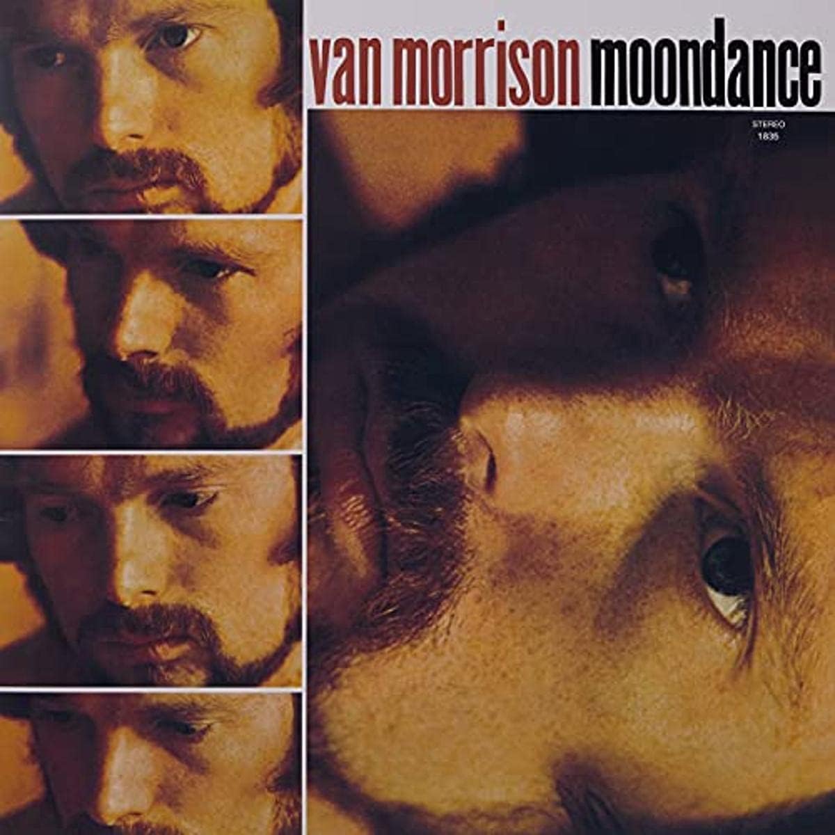 Morrison, Van/Moondance [LP]