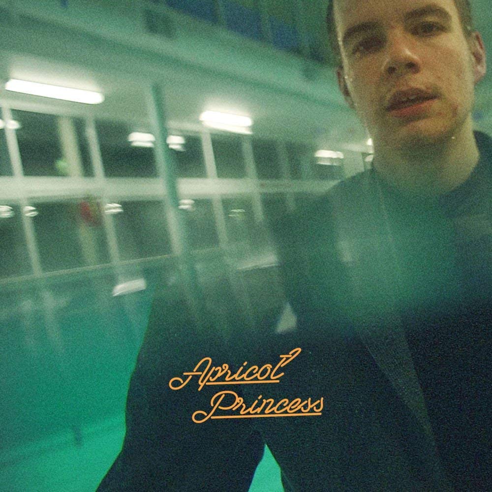 Rex Orange County/Apricot Princess [LP]