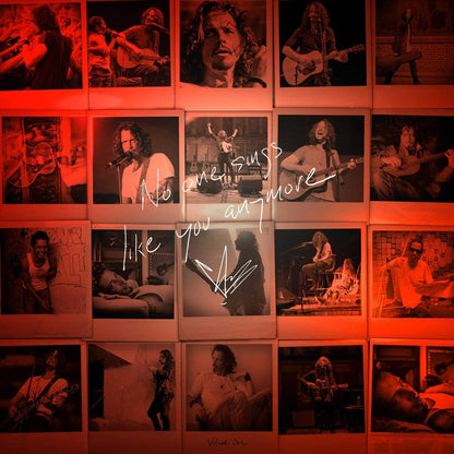 Cornell, Chris/No One Sings Like You Anymore Vol. 1 [LP]