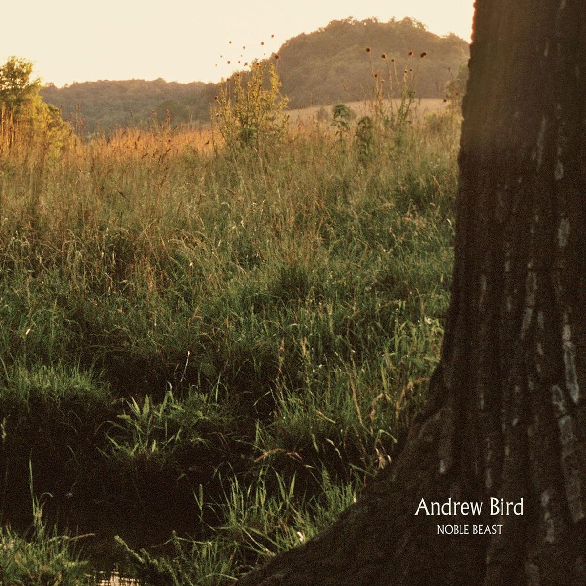 Bird, Andrew/Noble Beast [LP]