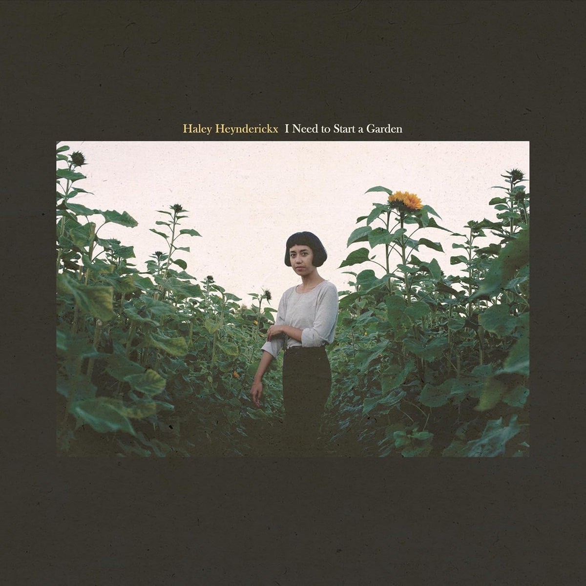 Heynderickx, Haley/I Need To Start A Garden [LP]
