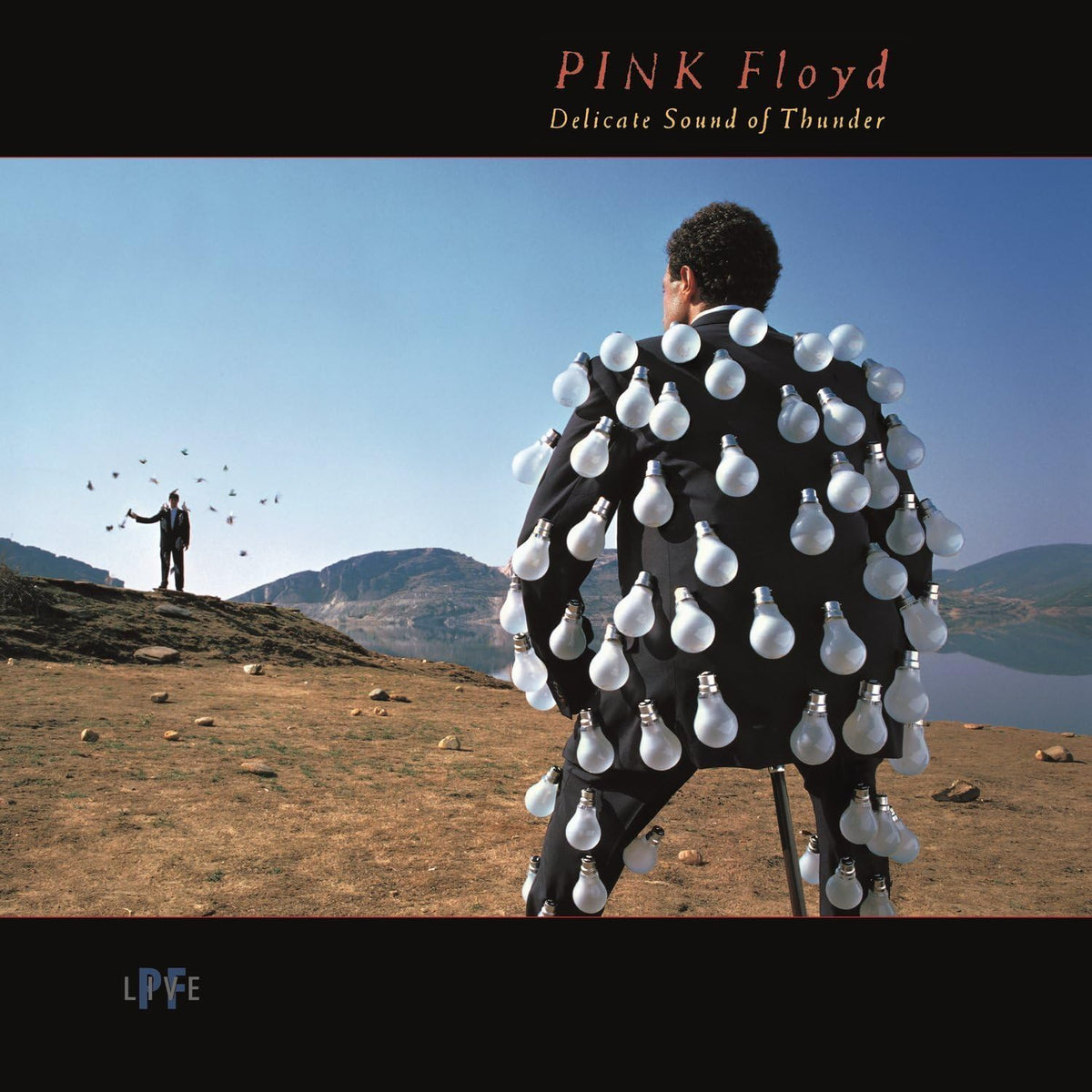 Pink Floyd/Delicate Sound Of Thunder [LP]