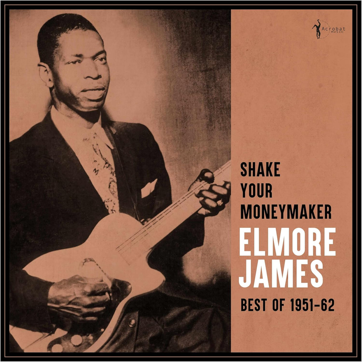 James, Elmore/Shake Your Moneymaker: Best Of 1951-62 [LP]