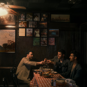 Jonas Brothers/Greetings From Your Hometown [LP]