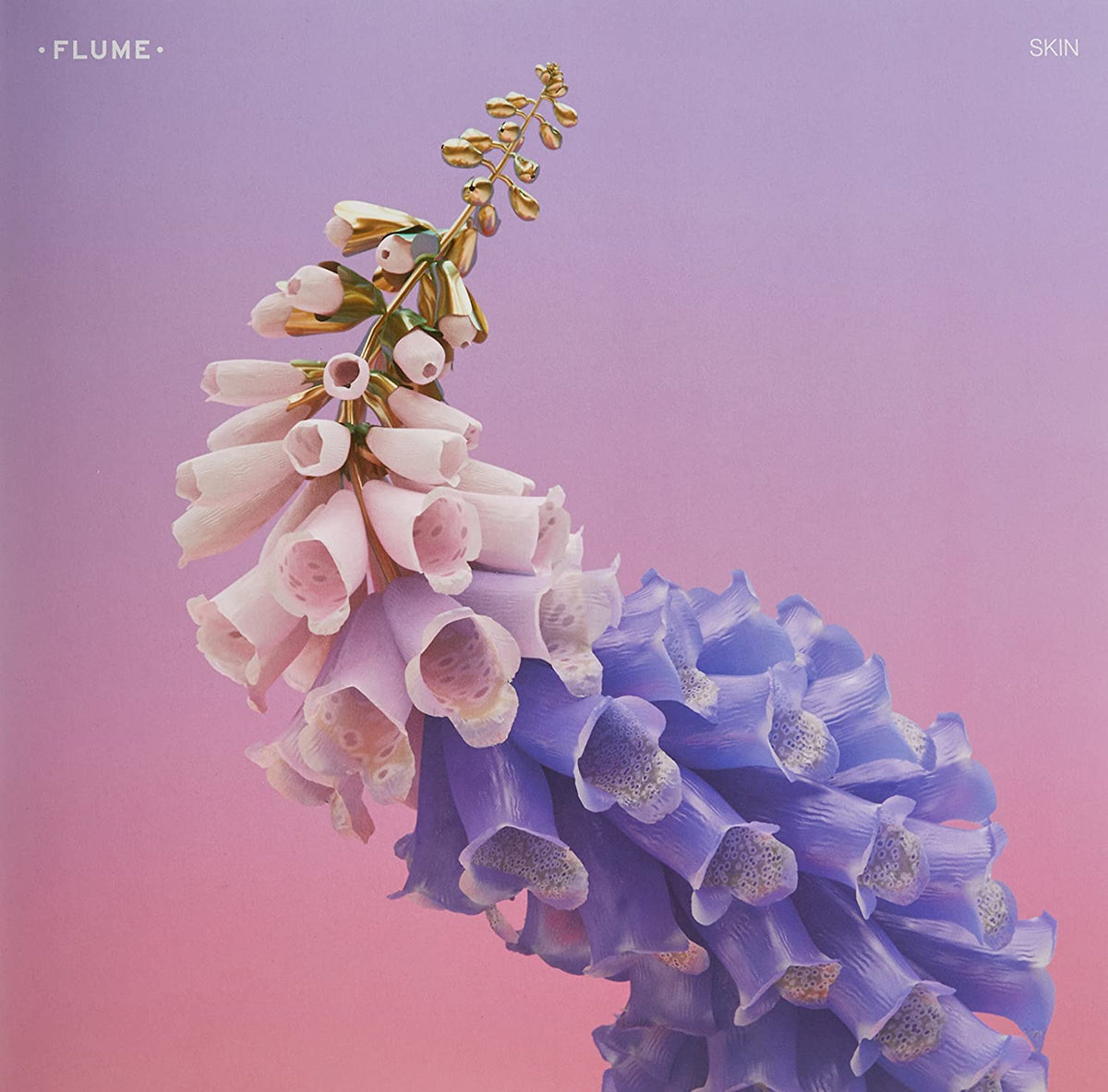 Flume/Skin (Deluxe) [LP]