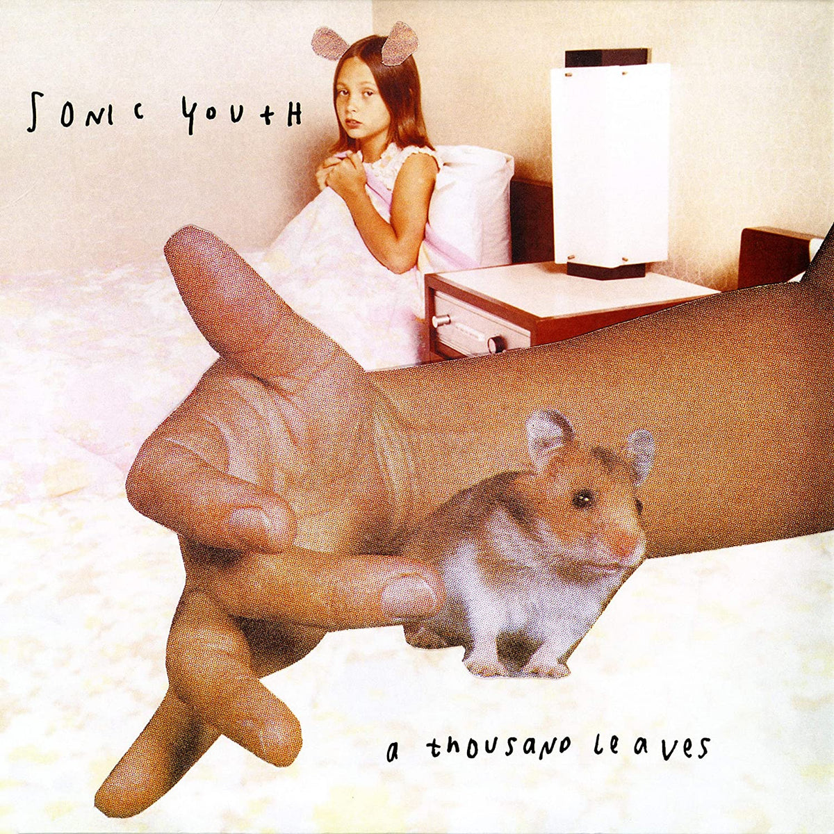 Sonic Youth/A Thousand Leaves [LP]