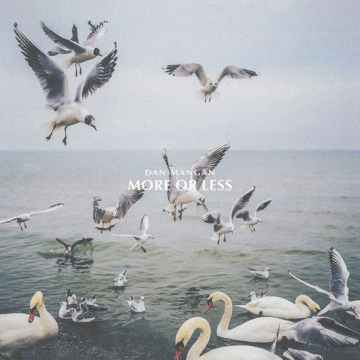 Mangan, Dan/More Or Less [LP]