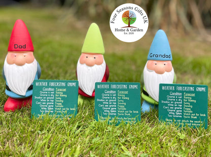 15cm Novelty Weather Forecasting Garden Gnome With Option To Personalise, Funny Garden Gifts
