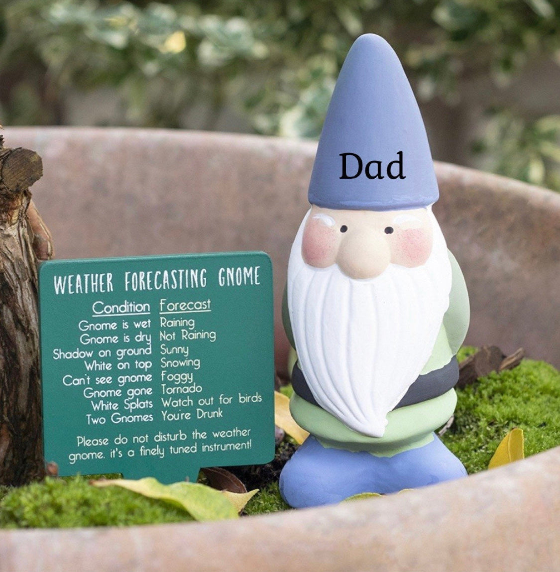 15cm Novelty Weather Forecasting Garden Gnome With Option To Personalise, Funny Garden Gifts