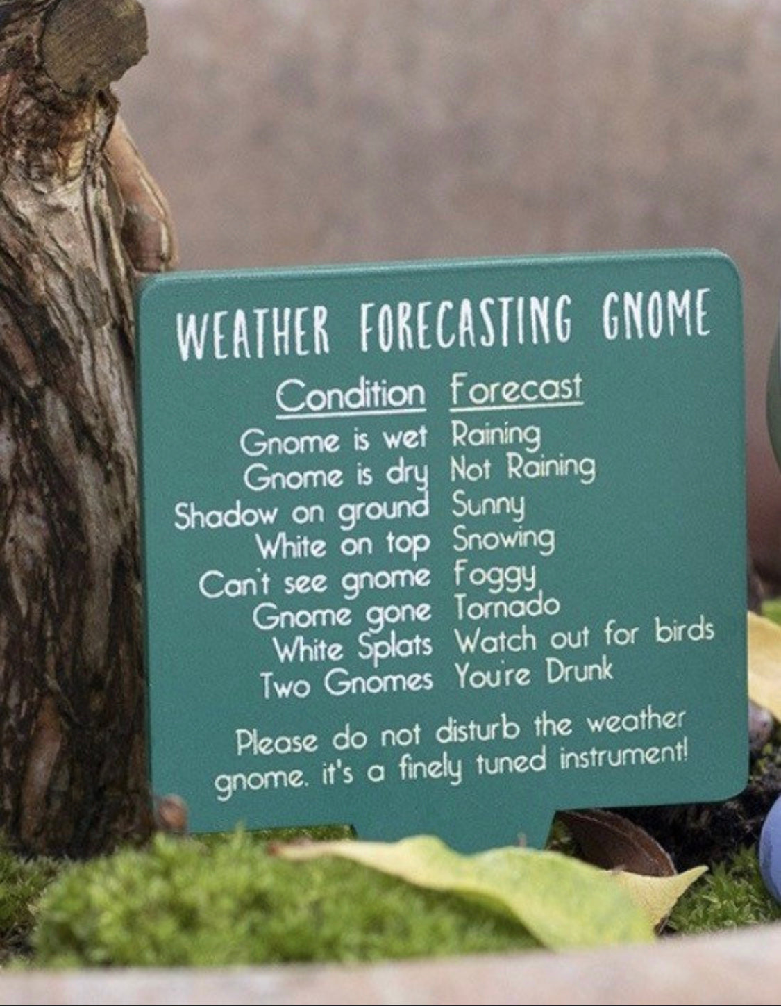 15cm Novelty Weather Forecasting Garden Gnome With Option To Personalise, Funny Garden Gifts