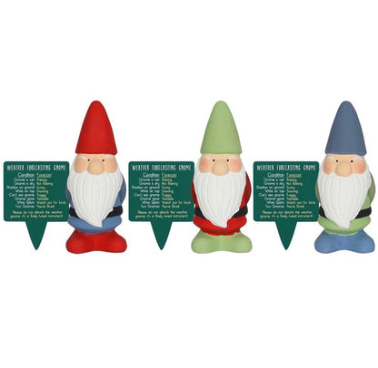 15cm Novelty Weather Forecasting Garden Gnome With Option To Personalise, Funny Garden Gifts