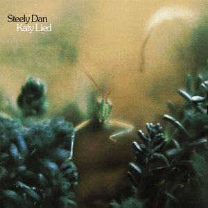 Steely Dan/Katy Lied [LP]