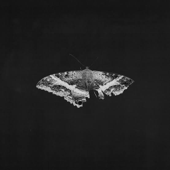 Lamar, Kendrick/To Pimp A Butterfly (10th Ann. Graphite Vinyl with Alternate Artwork) [LP]